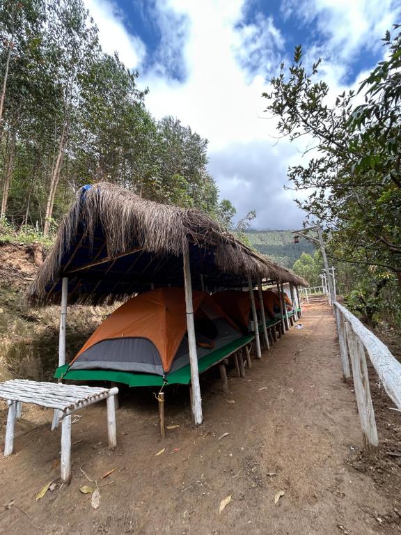 a row of tents with a straw roof at Mystic Valley Vattavada in Kottakamboor