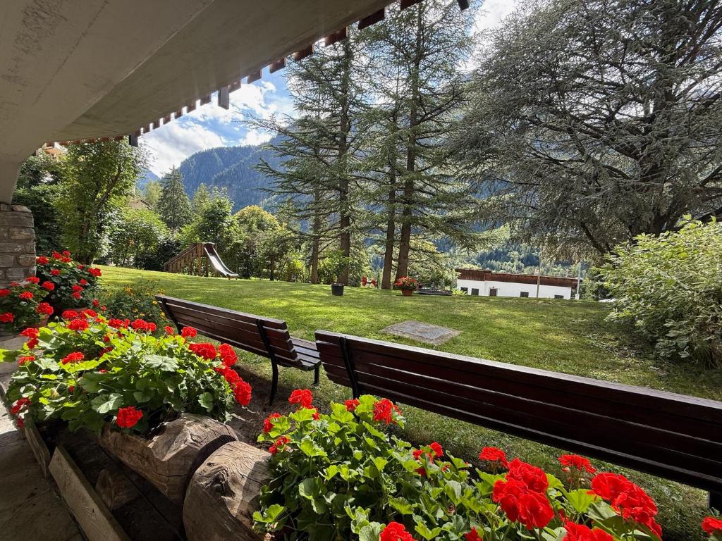 En generel udsigt til bjerge eller udsigt til bjerge taget fra lejligheden