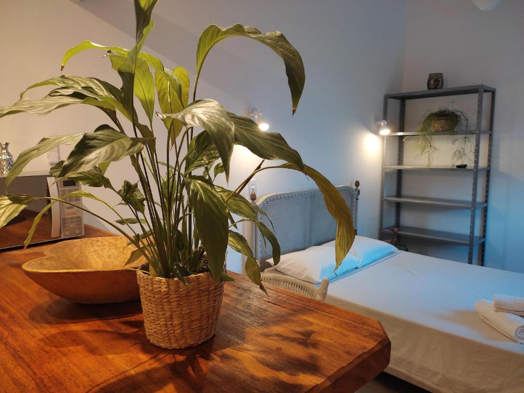 a plant sitting on a wooden table next to a bed at Chalé no Itaguá, ao lado do aquário de Ubatuba in Ubatuba