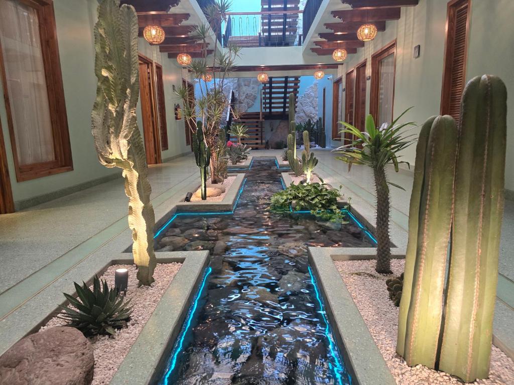 een gang met een koivijver in een huis met cactussen bij Luuna de Jade in Oaxaca City