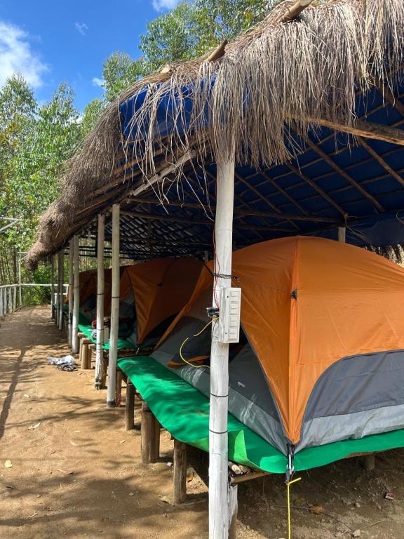 a group of tents under a straw roof at Mystic Valley Vattavada in Vattavada