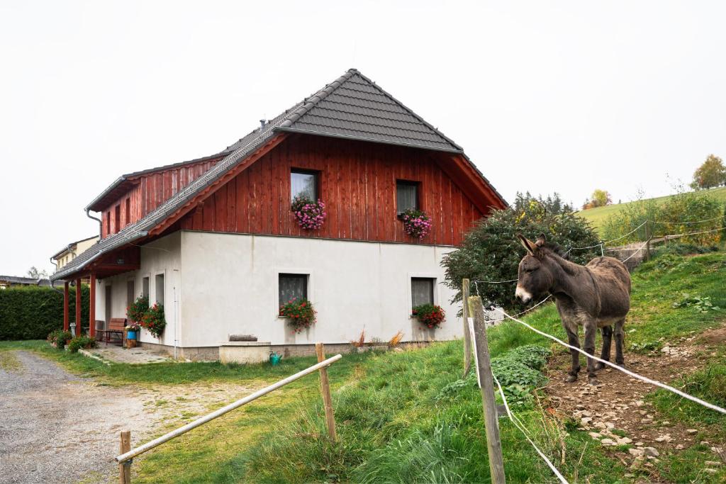 Άλλα ζώα σε αυτός ο ξενώνας ή στη γύρω περιοχή
