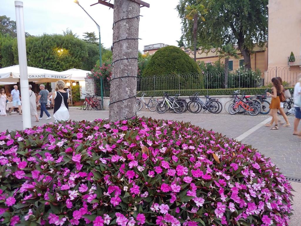 Un ramo de flores rosas delante de un poste en Eli's House in Bardolino sul Garda, en Bardolino