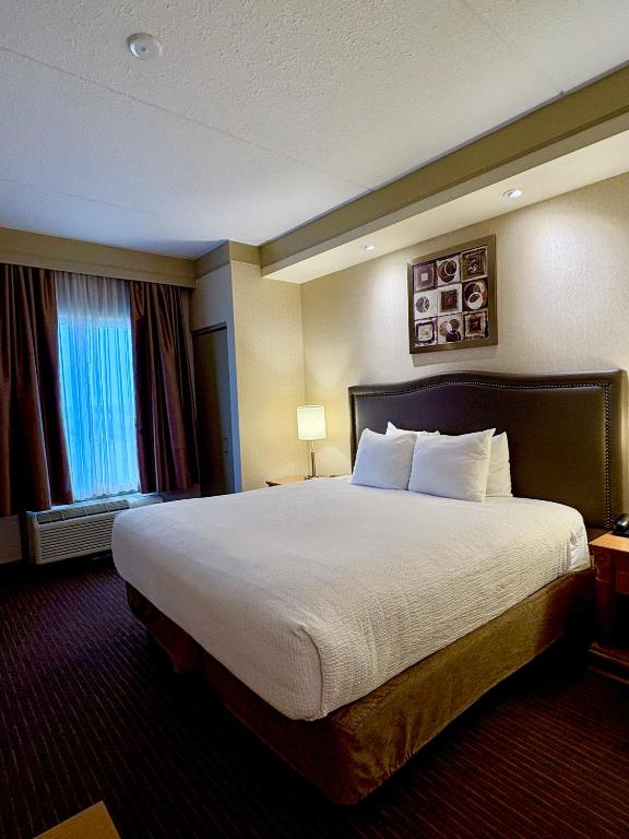 Waterloo Suites Hotel, Trademark Collection by Wyndham - デラックスキングルーム - 禁煙