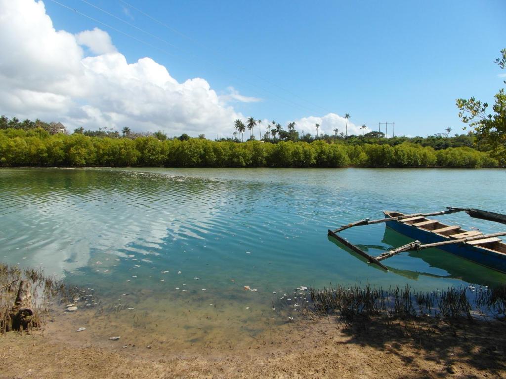 Un paisaje natural cerca del barco
