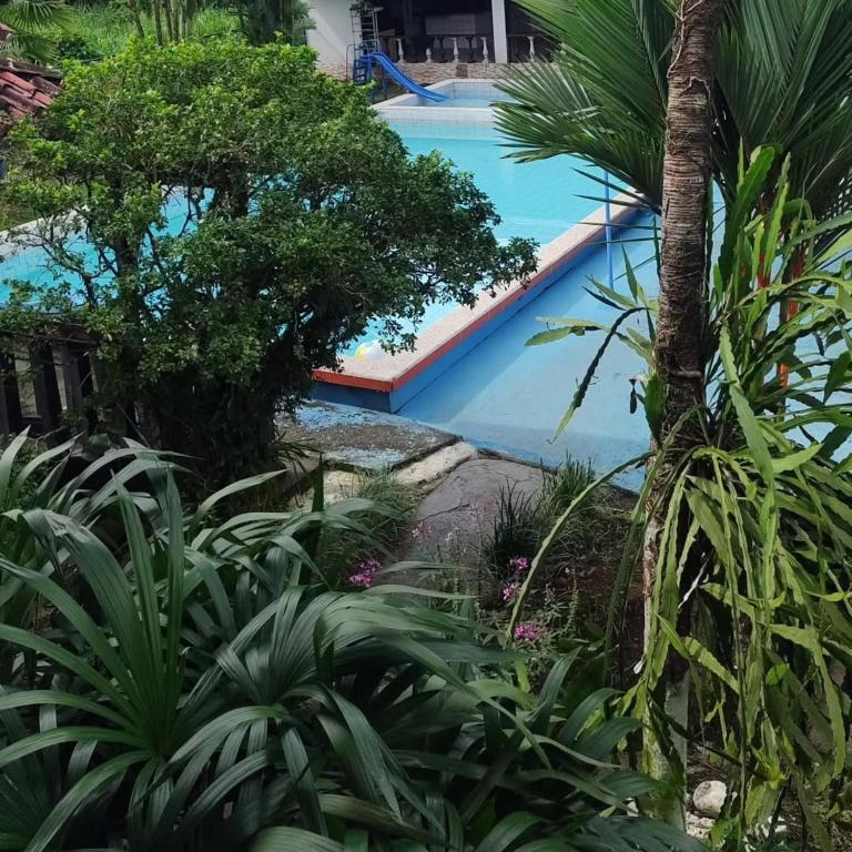 a swimming pool in a garden with trees and plants at Hotel & Restaurante Tabacones in Guácimo