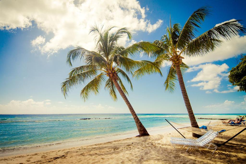 two palm trees and two chairs on a beach at Sugar Bay Barbados - All Inclusive in Bridgetown