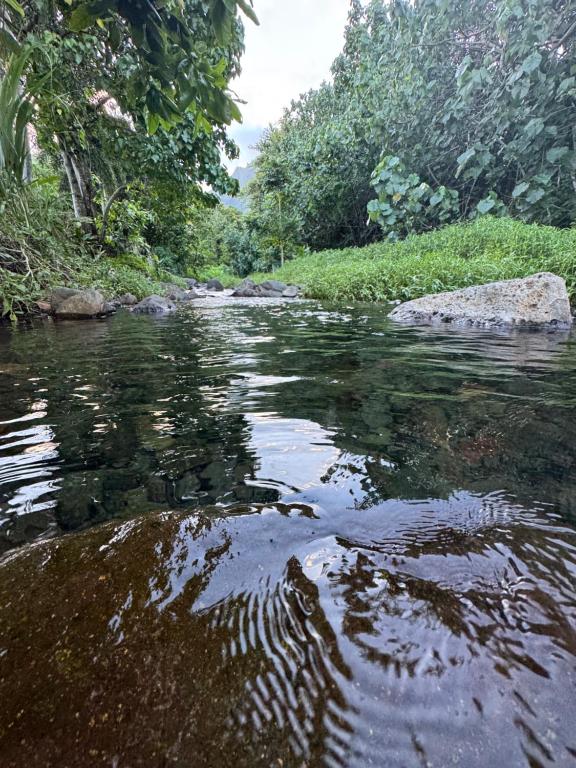 une rivière avec des rochers dans l'eau et des arbres dans l'établissement Moorea camping Valley, à Moorea