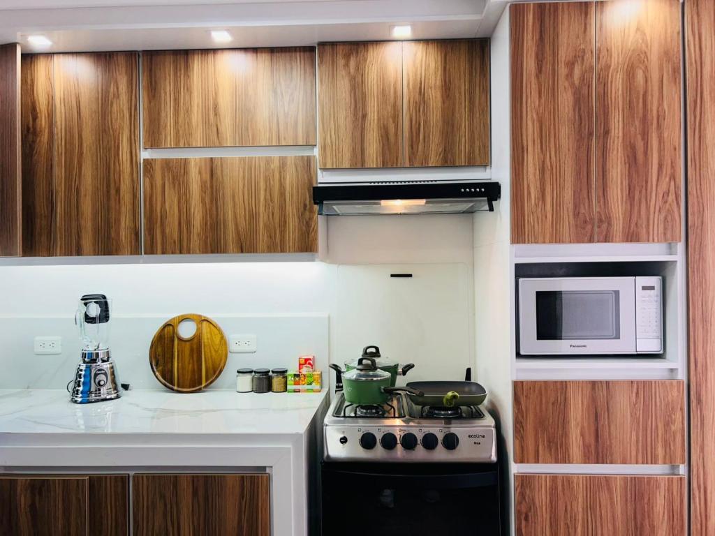 巴尼奥斯Luxury Apartment with Jacuzzi 2 Bedroom 2 Bath的配有炉灶和微波炉的厨房