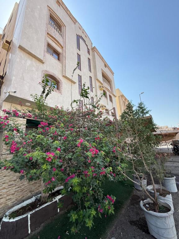 a group of flowers in pots in front of a building at دار اليقين in Al Madinah