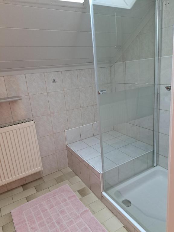 昂特保科洛佩因Ferienwohnung "Josephine" am Klopeinersee的带玻璃门淋浴间的浴室