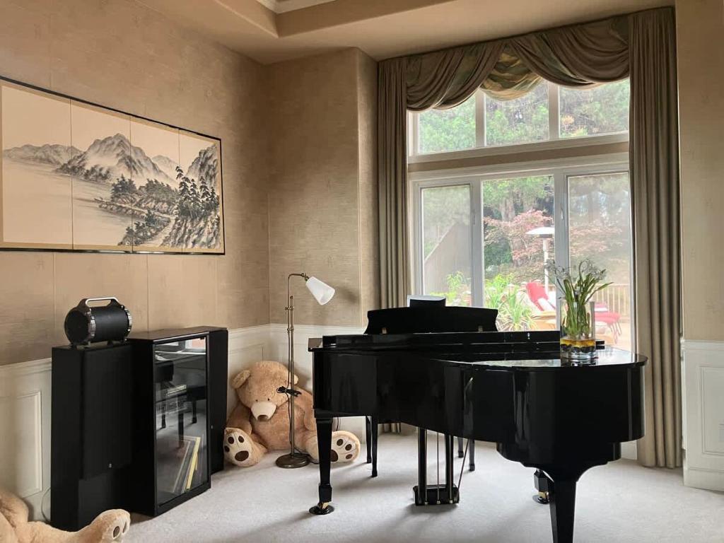 Sammamishにある1 BR in a Lakeview House Near Redmond DTのピアノとぬいぐるみのクマのあるリビングルーム