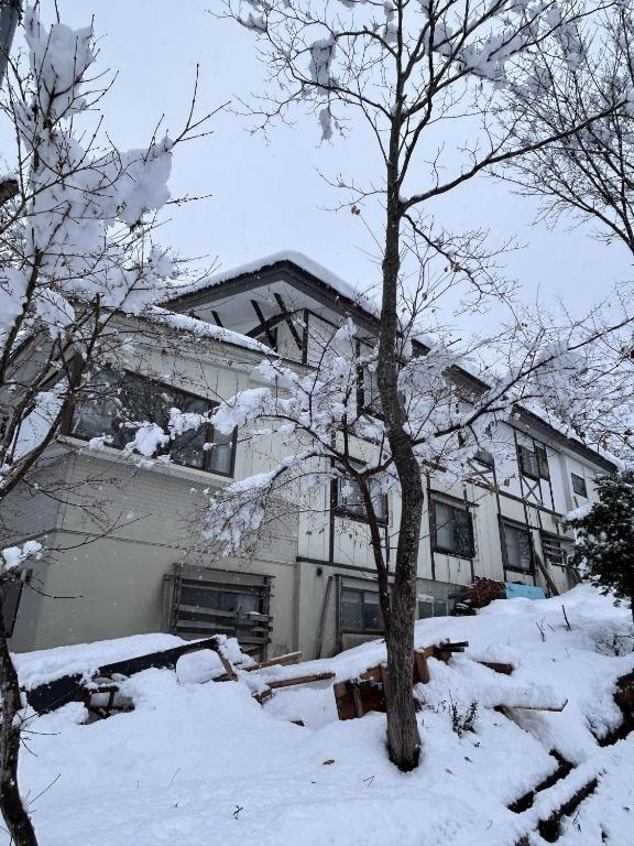小谷村Slopeside Lodge Hakuba的前面有一棵树,有雪盖的房子