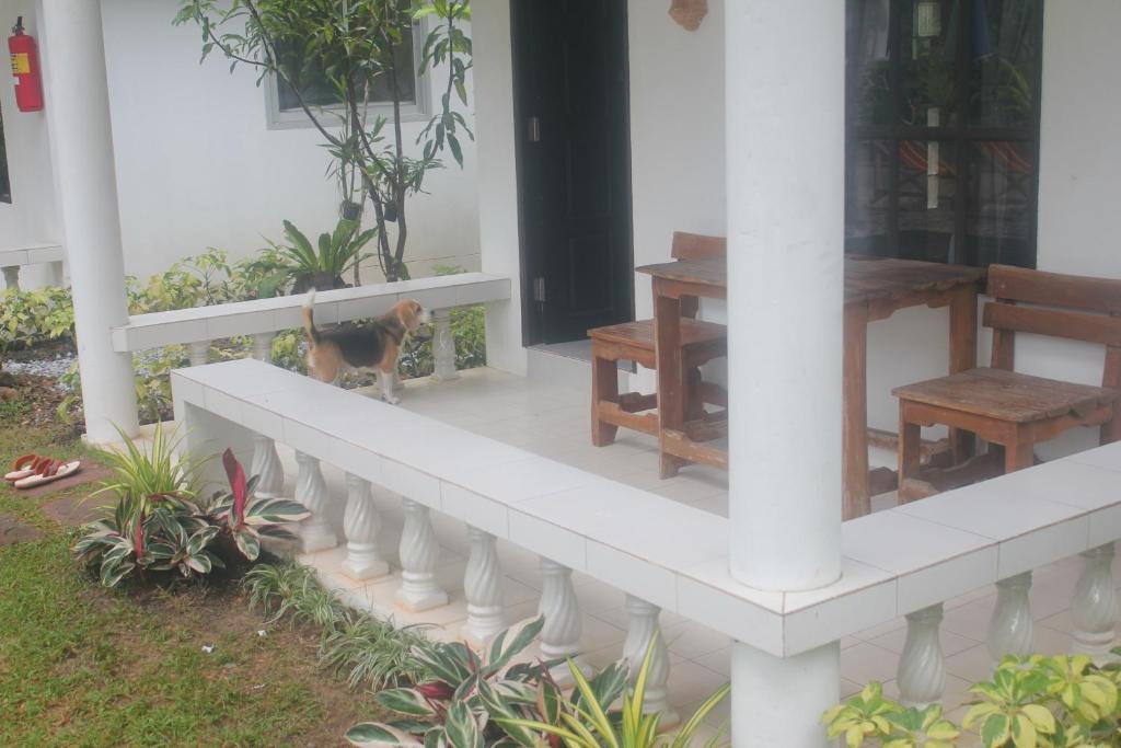 Zahrada ubytování Privacy Resort - Koh Chang