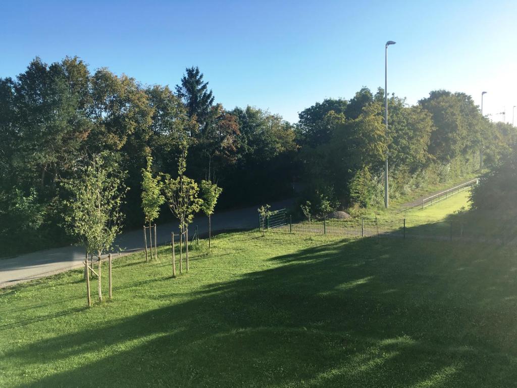 Příroda nedaleko hotelu