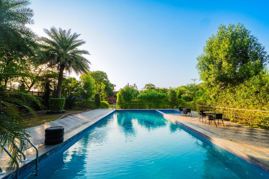 Hồ bơi trong/gần The Saipura Bagh Resort-Jaipur
