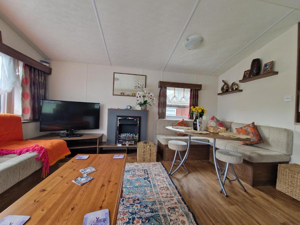 Μια τηλεόραση ή/και κέντρο ψυχαγωγίας στο Stunning Pet Friendly 2 bed StaticCaravan in Clarach Bay 2017 model