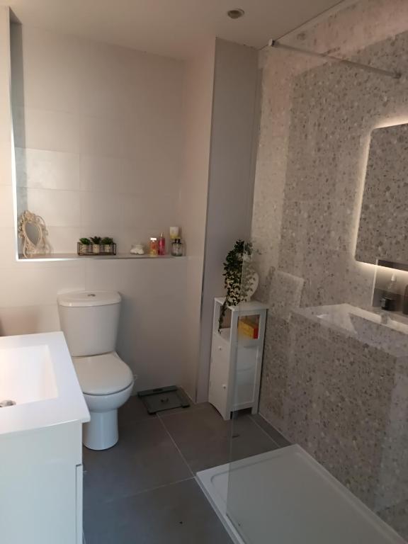 a bathroom with a toilet and a sink at Room with rural views in Ferns