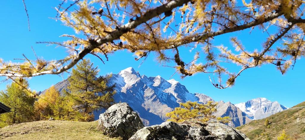 Φυσικό τοπίο κοντά σε αυτό το κατάλυμα σε φάρμα