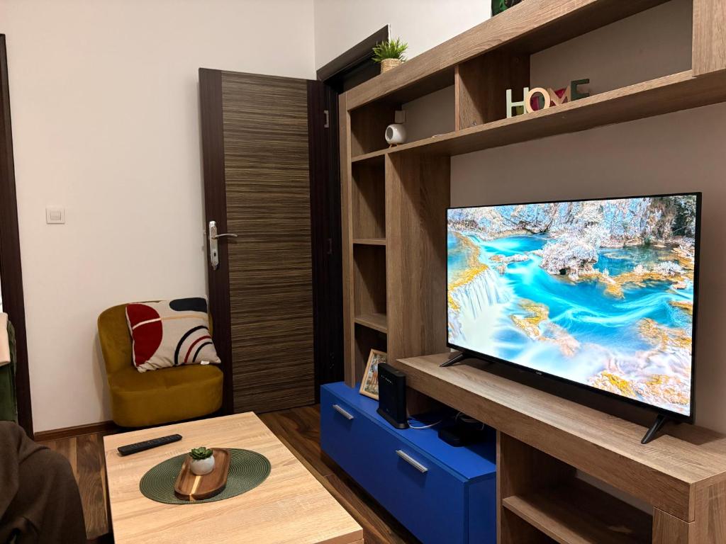 Una sala de estar con un televisor de pantalla plana grande. en Gintas Comfort, en Podgorica