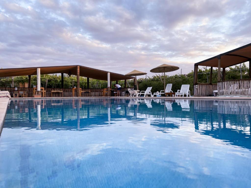 Bazén v ubytování Domain The blaze nebo v jeho okolí