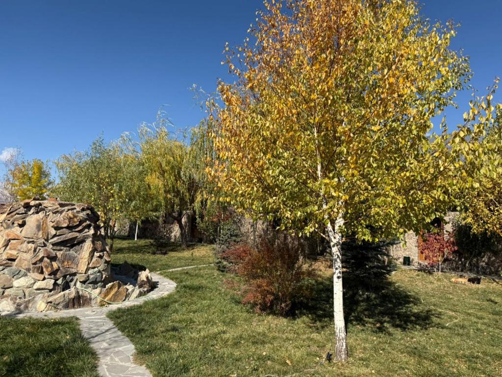 Zahrada ubytování Msho Amrov Restoran