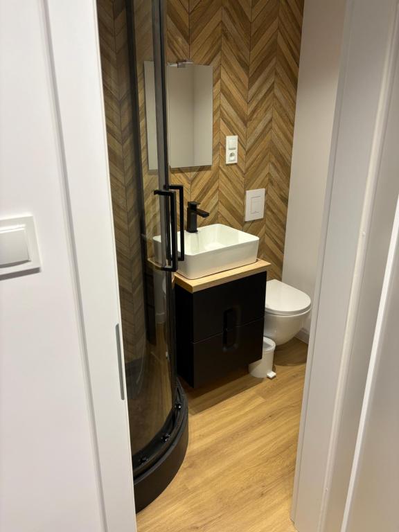 Koupelna v ubytování Widok na Zamek