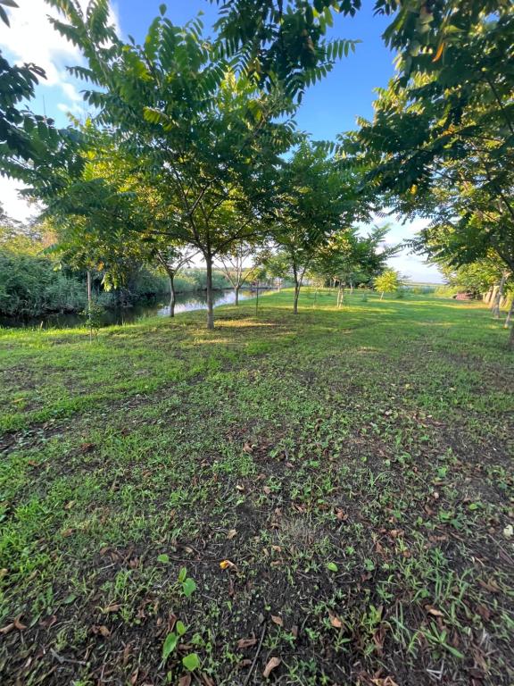 een park met bomen en een grasveld bij Lucky Houseee in Grigoleti