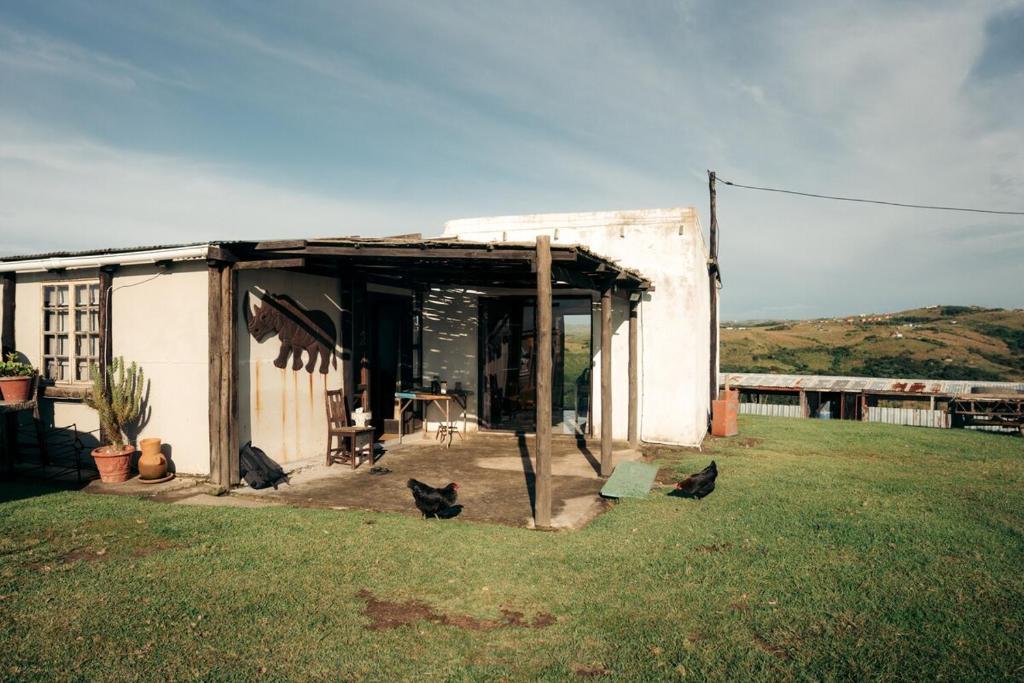 une petite maison avec des poulets debout à l'extérieur dans l'établissement Self-catering Furnished Holiday Cottage to rent Coffee Bay, à Coffee Bay