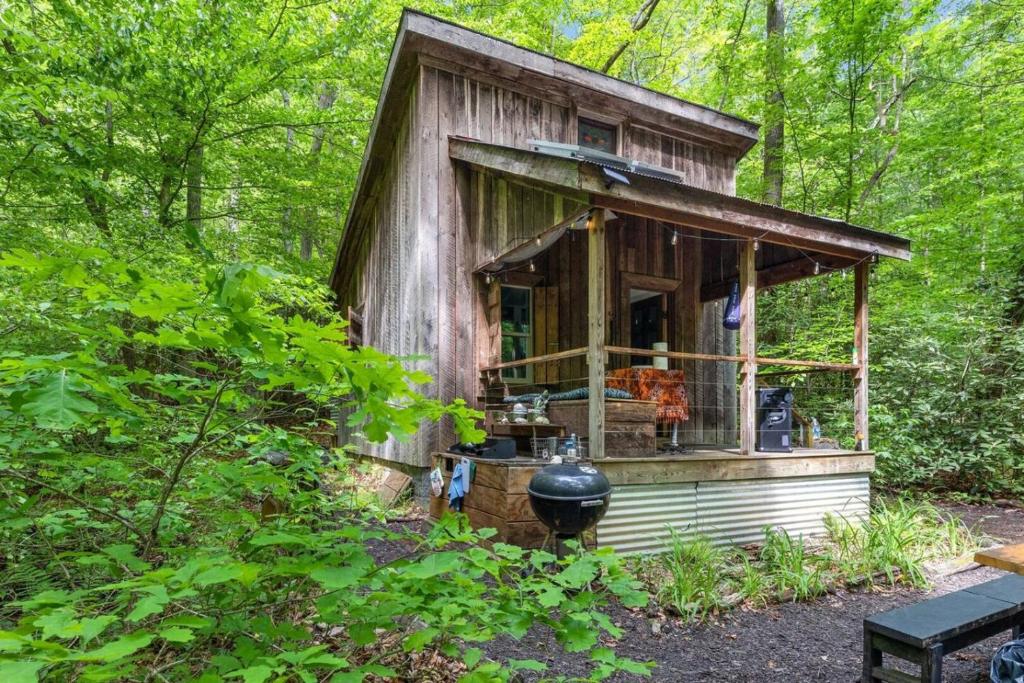 a small cabin in the woods with trees at Beech Timber- 30 Acre Secluded Glamping in RRG in Beattyville