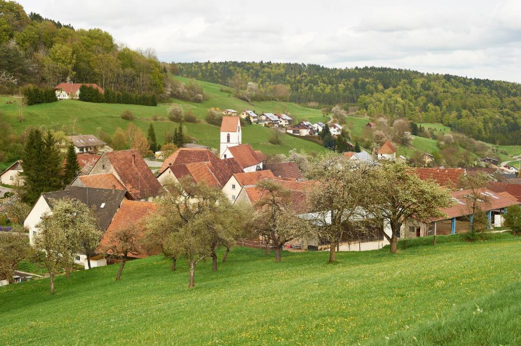 Příroda nedaleko apartmánu