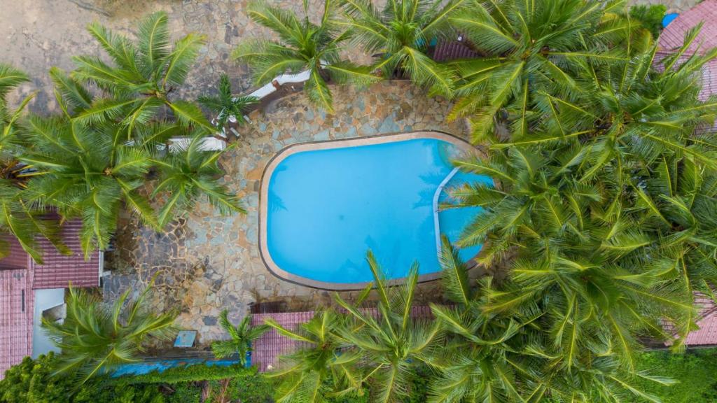 ディアニ・ビーチにあるPalm Beach Apartmentsのヤシの木のあるプールの上空からの眺め