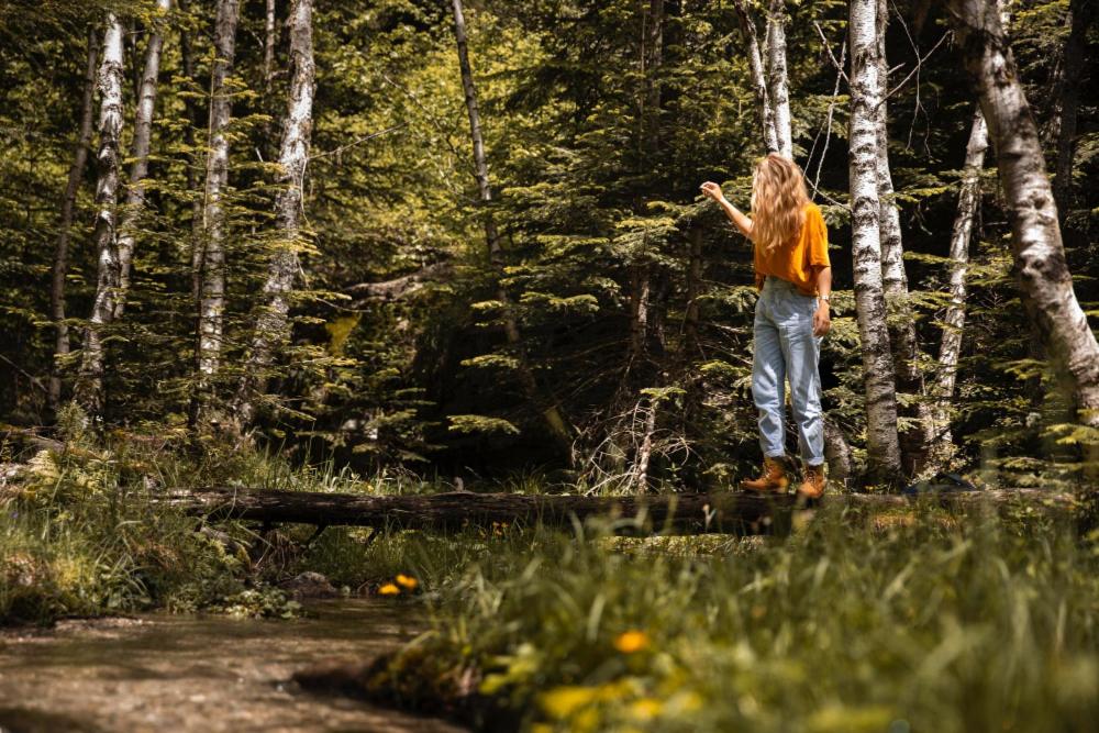 a woman is standing in the woods at Mitteraubach in Jandelsbrunn