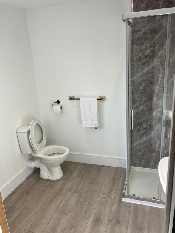 a white bathroom with a toilet and a shower at Coach house in Llantwit Fardre
