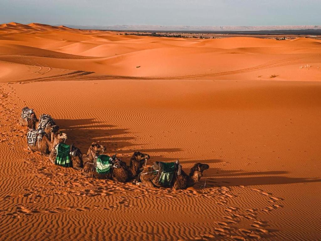 Hosté ubytování Hayati Desert Luxury Camp