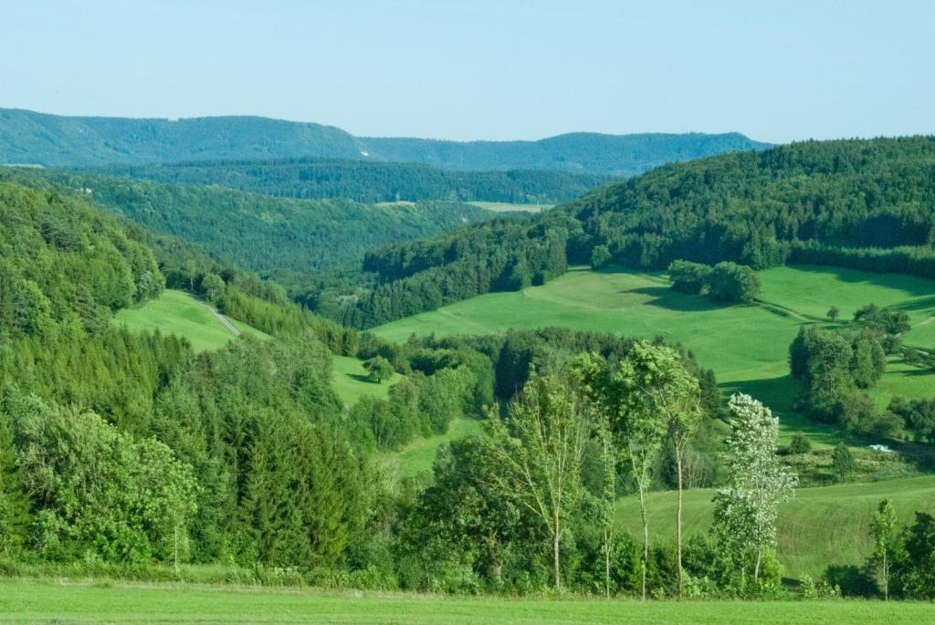 Příroda nedaleko apartmánu