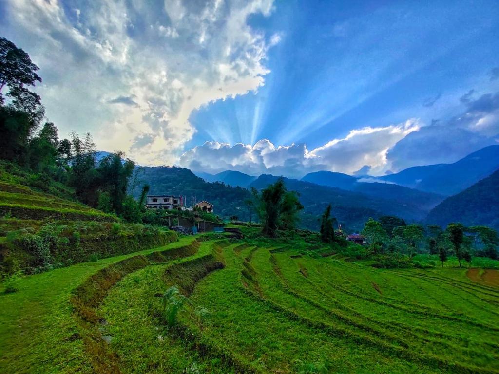 a green field with mountains in the background at Drukinn gaireykhet homestay in Thode