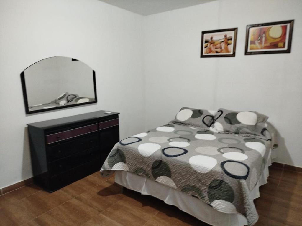 a bedroom with a bed and a dresser and a mirror at EDIFICIO REY NIÑO in Posadas