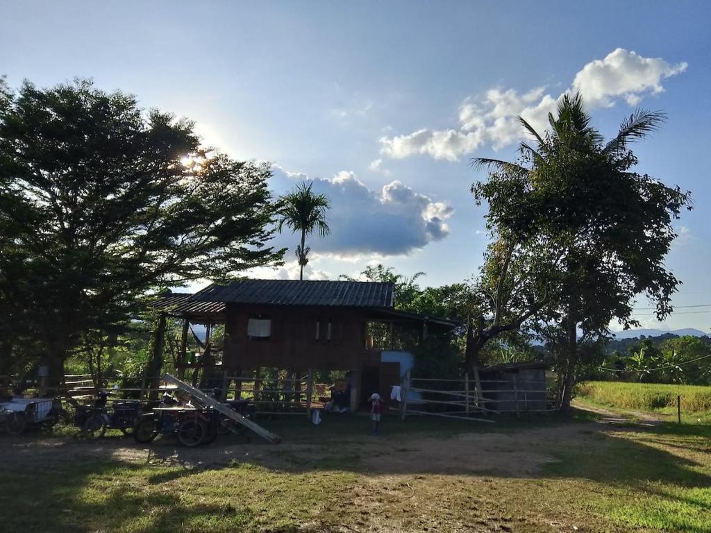 Naturlandskabet i nærheden af feriehuset