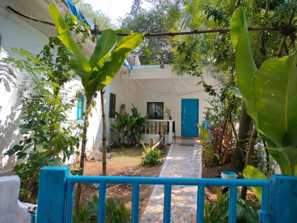 Κήπος έξω από το The Maze House Anjuna!