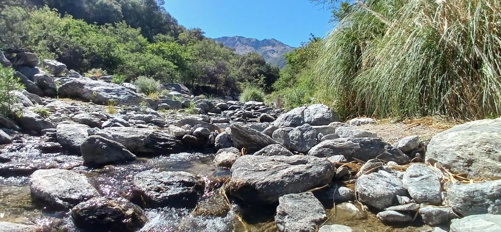a stream of rocks in a river with trees at El Paraíso de las Chacras in Las Chacras (La Paz)