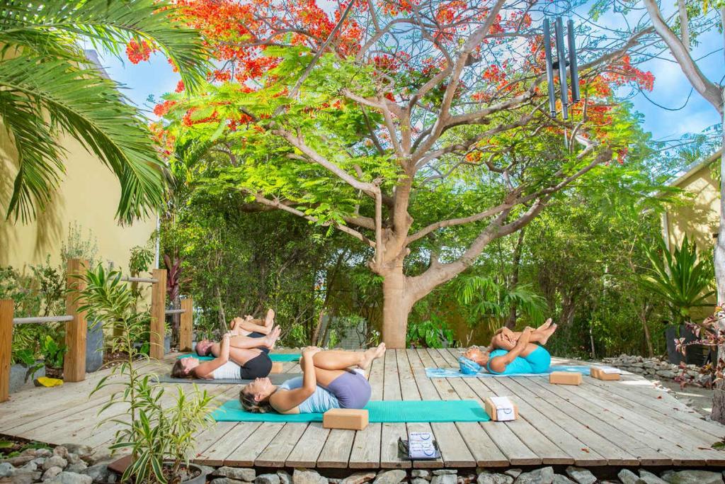 eine Gruppe von Menschen, die vor einem Baum Yoga machen in der Unterkunft Kokomo Ultra-lux King - King Cottage in Turtle Cove