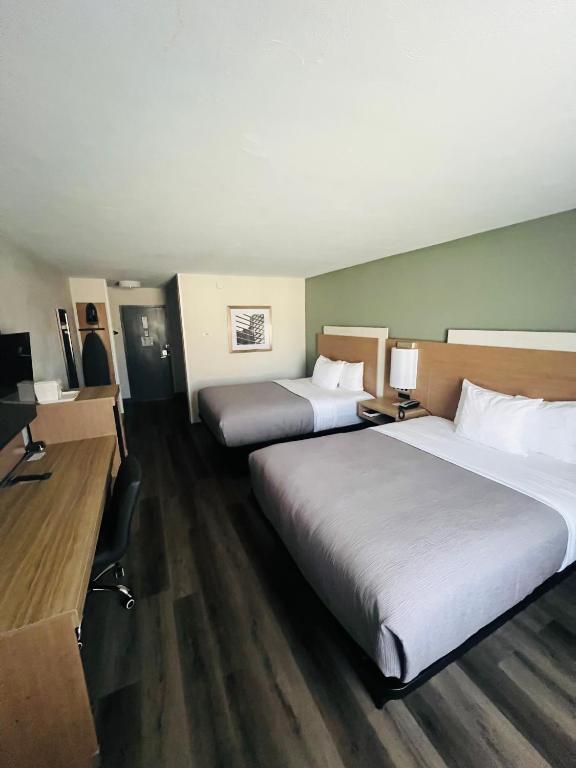 Quality Inn Hermitage South - 高级大号床间 - 带两张大号床 - 禁烟