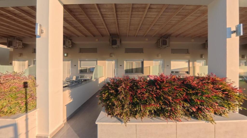 Fani Luxury Apartments Stavros - 18