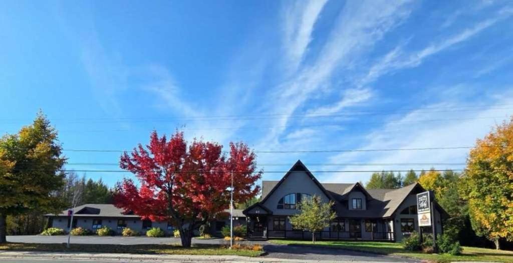 a house with a red tree in front of it at Auberge MicKy Inc in Edmundston