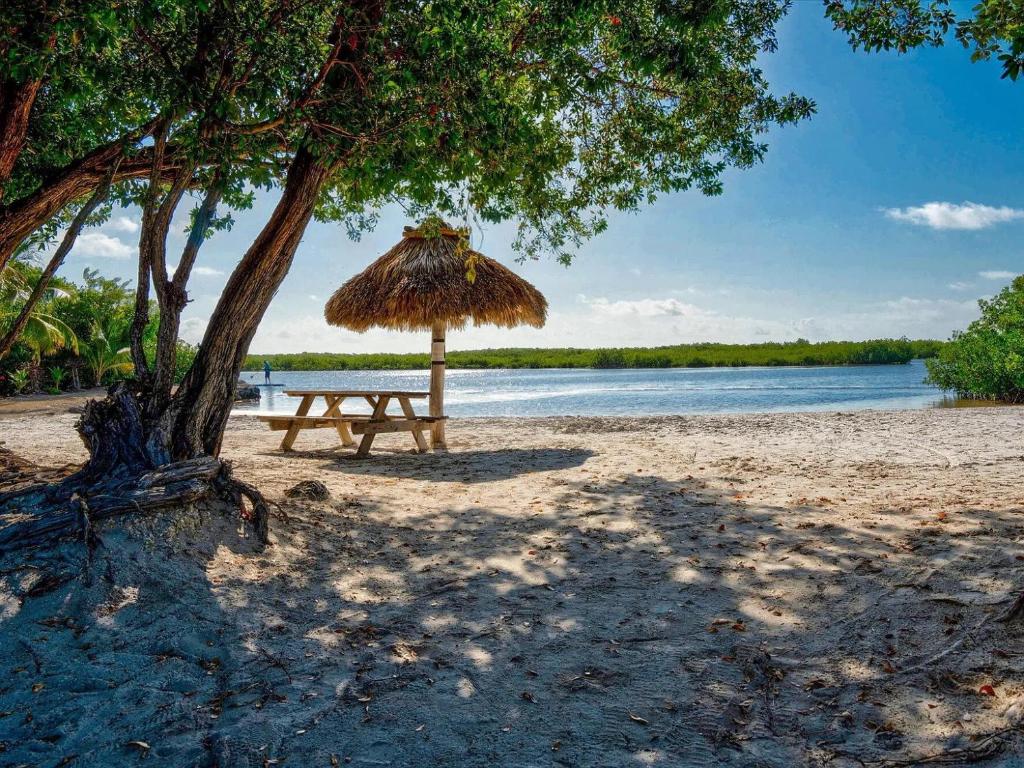 a picnic table with a straw umbrella on a beach at Beachfront Retreat w Pool, Boat Ramp & Dock Rental in Key Largo