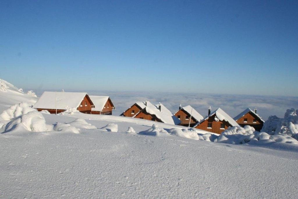 Erlakogelhütte am Feuerkogel trong mùa đông