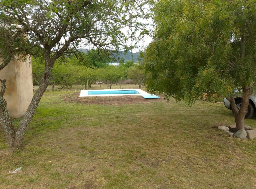 a swimming pool in a yard with a tree at Casa WIWI in La Estancia