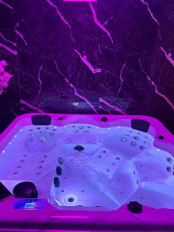 Φωτογραφία από το άλμπουμ του Dream Spa Jacuzzi&Sauna σε Portet-sur-Garonne