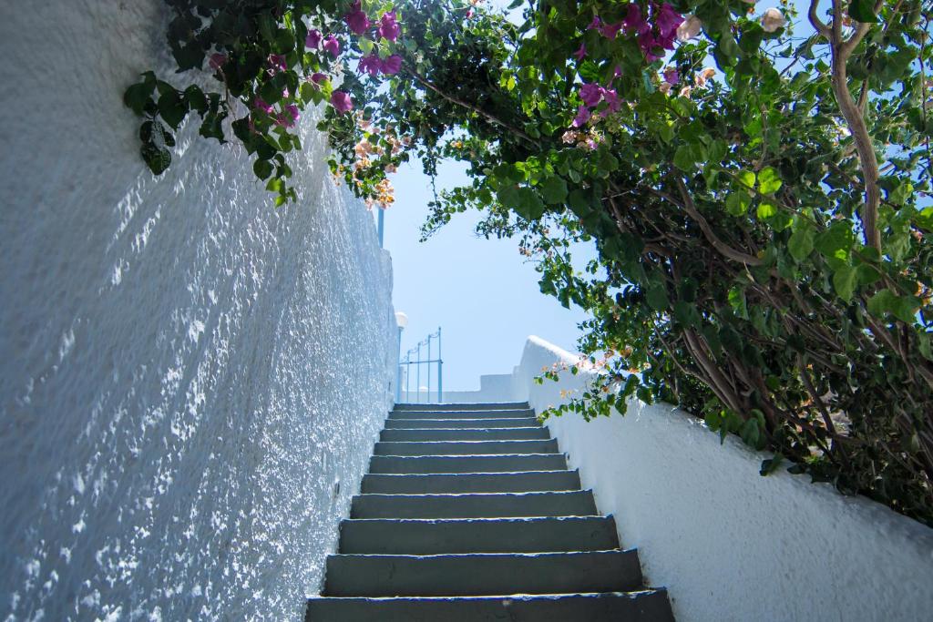 a stairway with flowers and plants at Ios Plage in Mylopotas